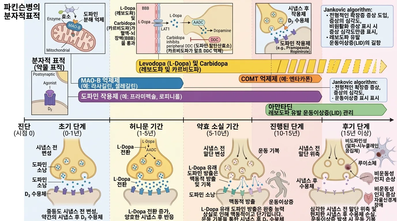 약물 치료 전체 로드맵 — 병기별 전략